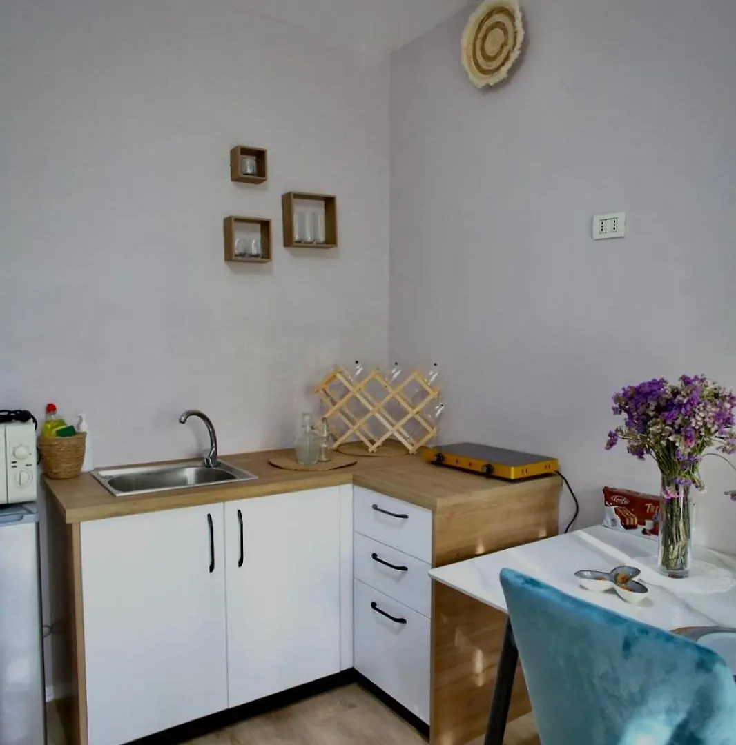 Astoria Boutique Apartment 티라나 0*,
